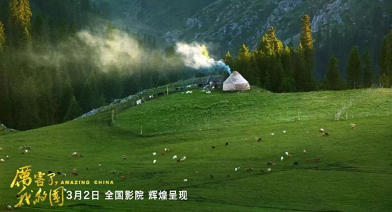 �������ǲ���(�й�) - �ٷ���վ