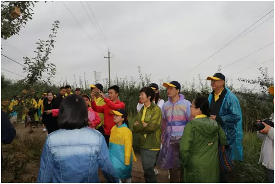 �������ǲ���(�й�) - �ٷ���վ