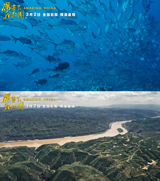 �������ǲ���(�й�) - �ٷ���վ