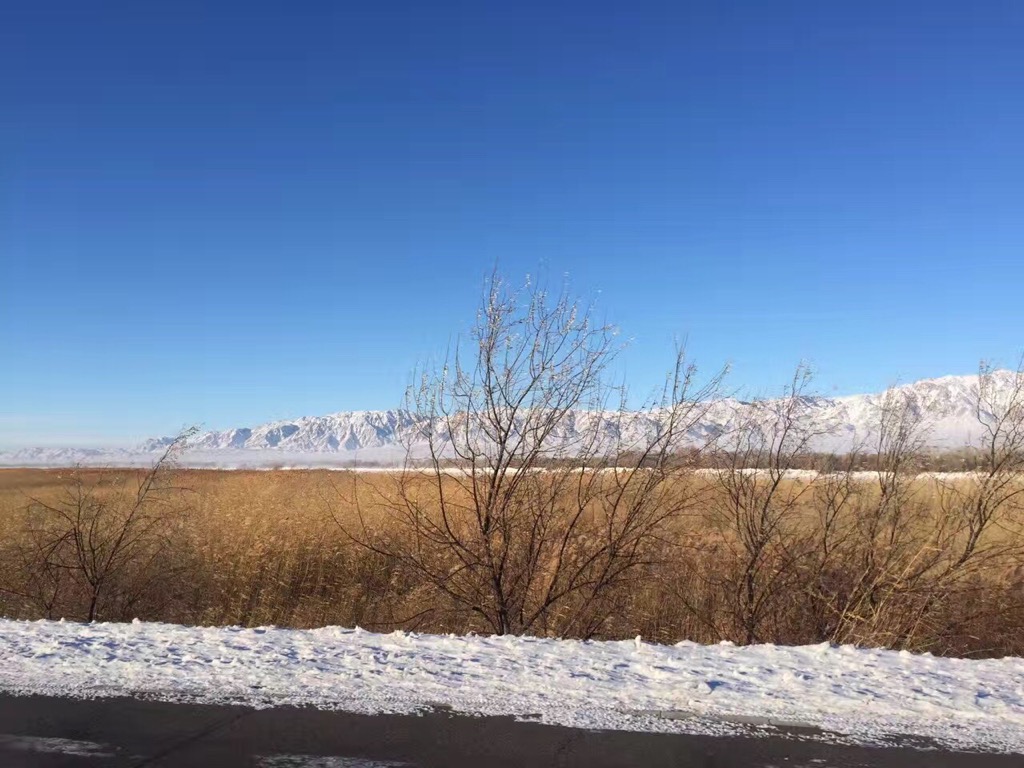 �������ǲ���(�й�) - �ٷ���վ