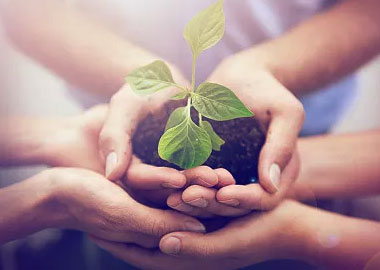 �������ǲ���(�й�) - �ٷ���վ