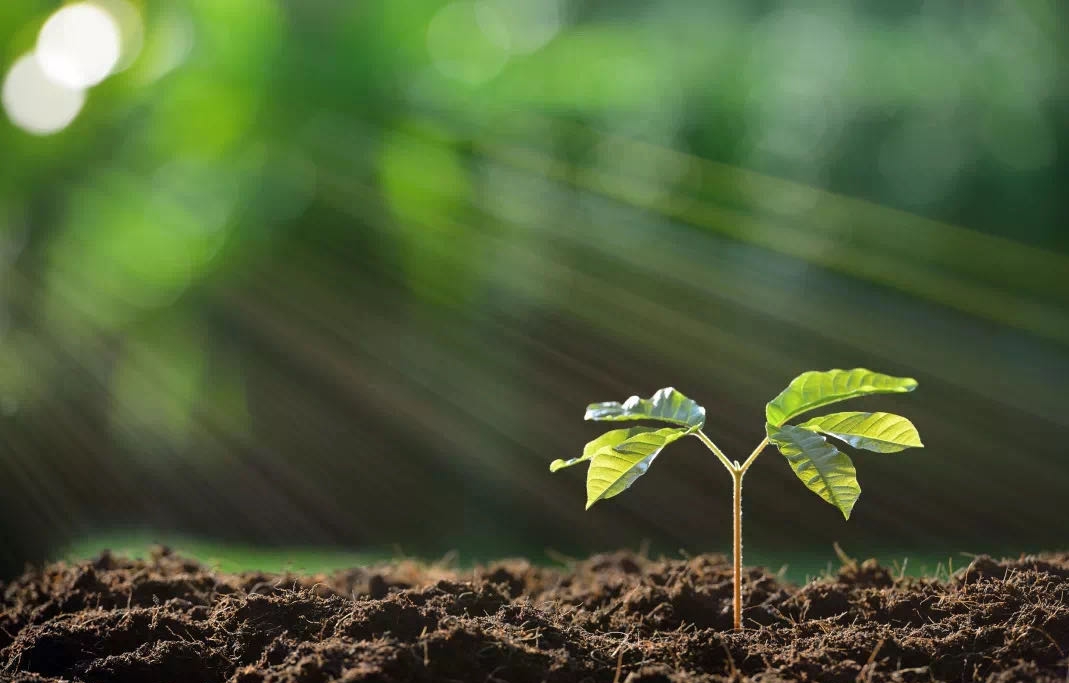 �������ǲ���(�й�) - �ٷ���վ