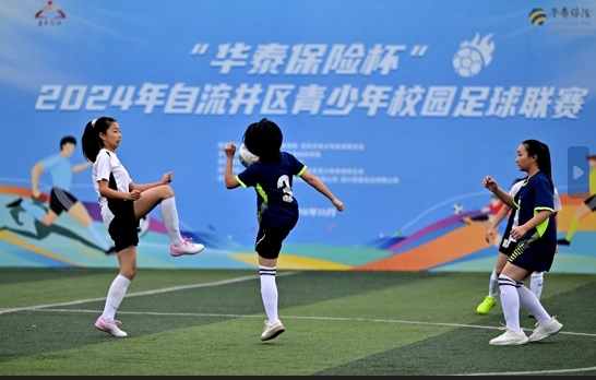 �������ǲ���(�й�) - �ٷ���վ